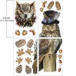 STEAMPUNK OWL ADVENTURE~Dixie Belle Belles and Whistles Large Rub-on Decor Tfr